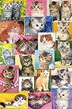 Trends International Keith Kimberlin - Kittens Collage Wall Poster, 14.725" x 22.375", Premium Unframed Version Trends International Keith Kimberlin - Kittens Collage Wall Poster, 14.725" x 22.375", Premium Unframed Version