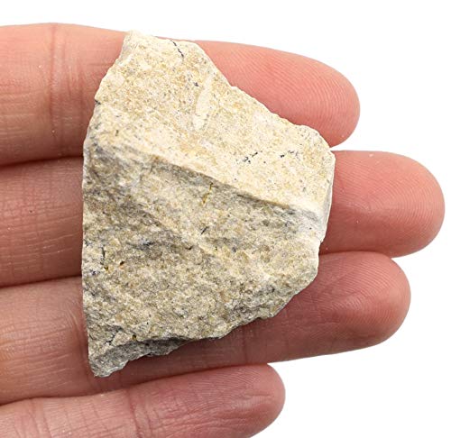 Image of EISCO Raw Travertine, Sedimentary Rock Specimen - Approx. 1 inch - Geologist Selected & Hand Processed - Great for Science Classrooms