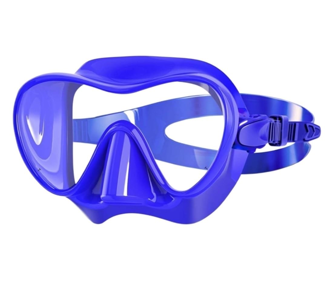 Maschera Sub Set Boccaglio Dry Top Maschera da Snorkeling Attrezzatura da Snorkeling Maschera da Immersione Antiappannamento Anti-perdite E Set Boccaglio Subacquee e Snorkeling (Color : Blue, Size :
