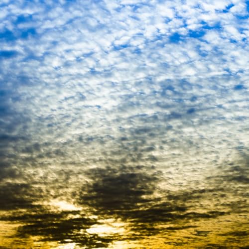 Experiment #12 - September Lady