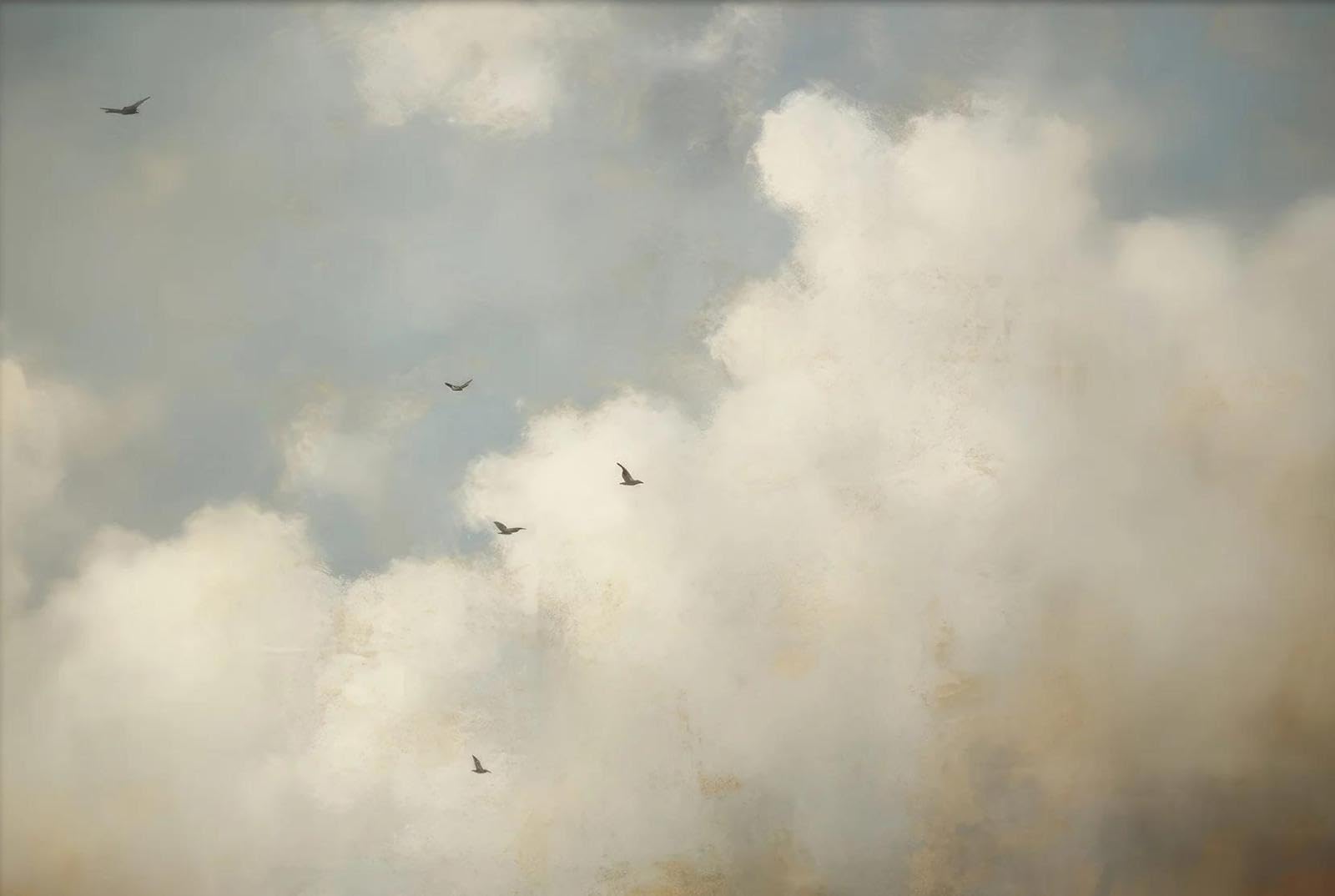 SHINERING Vintage Cloud And Birds Sky Landscape Canvas Painting Poster Print Wall Art Picture For Living Room Home Decor A1 50X70Cm Unframed
