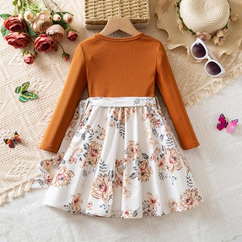 Nileafes Little Girl Ruffle Fall Winter Long Sleeve Dress Printed Party Holiday Clothes2