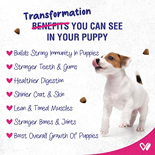 Image of WIGGLES Ykibble Puppy Food Dry Small Dogs Starter, 900 gm, 1-12 Months - Oven Baked Nutritionally Balanced Pet Food - Chicken, Vegetables, Vitamins & Minerals