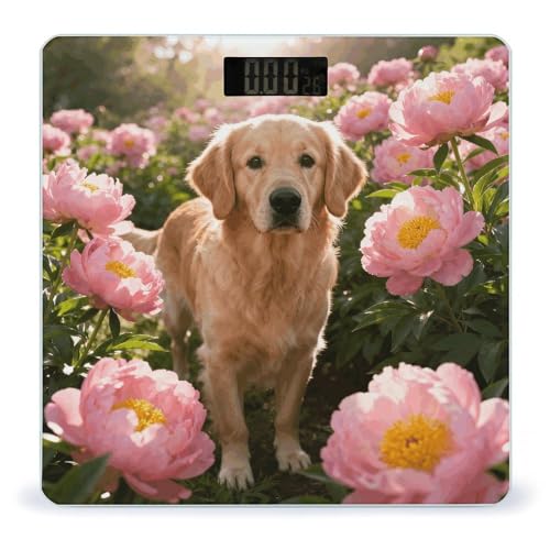 Báscula Digital Golden Retriever & Daisy para Peso Corporal miniatura 1