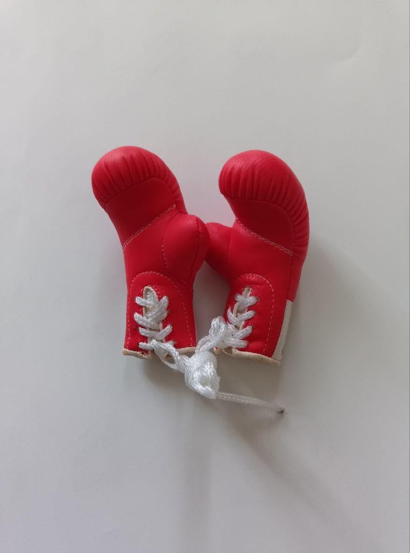 WBA世界チャンピオンモデル 畑山隆則　 グローブ WBA世界チャンピオンモデル 畑山隆則 グローブ mqdefault.jpg