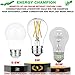 LiteHistory A15 LED Bulb 6W Equal E26 Led Bulb 60 Watt Non-Dimmable Edison Light Bulb Neutral White 4000K Clear AC120V 600LM E26 Bulb for Ceiling Fan,Wall sconces,Fridge,Desk lamp Pack of 6