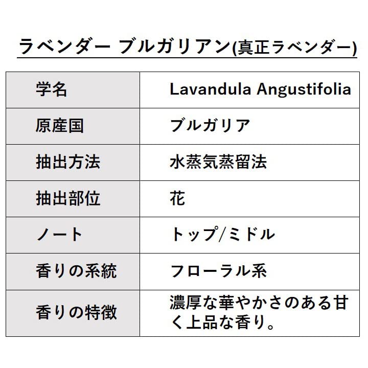 Amazon.co.jp: ASH ラベンダー ブルガリアン (真正ラベンダー