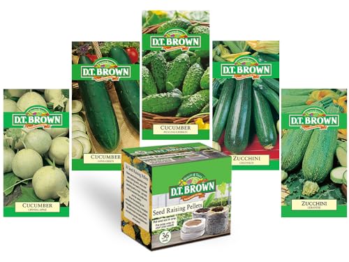 vegetable seeds turnip