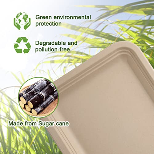 Wdf 50 Pack 14 Inch Food Trays Disposable - 100% Biodegradable Compostable Heavy - Duty Food Serving Trays, Extra Large Thanksgiving Paper Plates For Crawfish, Bbq, Turkey, Seafood Boil Party Supplies #TOP3