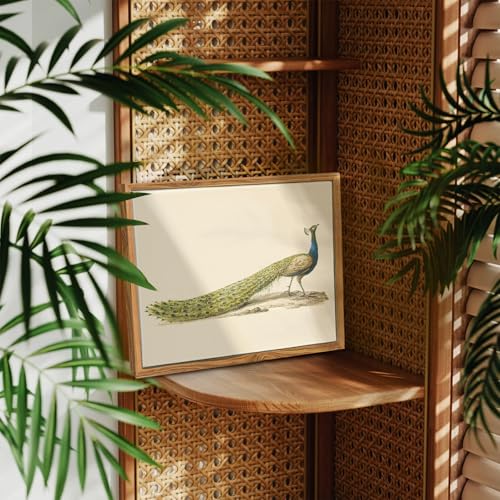 crmotu Vintage Framed Wall Art, Green Peacock Canvas Art Prints, Animal Bird Rustic Home Decorations, Classical Still Life Aesthetic Pictures, Neutral Wall Decor for Kitchen Bedroom Desktop, 9x11inch