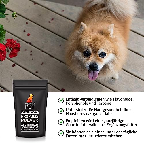 nectarvit PET Propolis Pulver - Die natürliche Wahl für die Gesundheit Ihres Tieres - 50 g