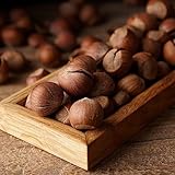 5 piezas semillas de avellanas - bonsái árbol macetas plantas para balcón cajas resistentes avellana avellana avellana avellana, cama elevada balcón robusto balcón plantas hardy regalos