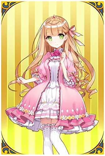 Amazon.co.jp: ウチの姫さまがいちばんカワイイ ビジュアルブック