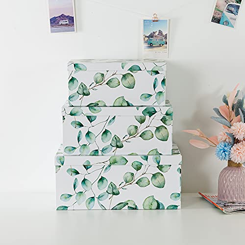 Soul & Lane B099SF9M5T_CA NARF Decorative Cardboard Boxes For Home Décor - Eucalyptus Leaves thumb #2