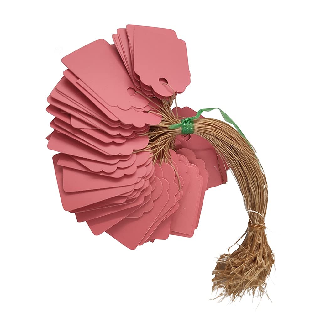 Buy BISXOTY Creative Labels,Wooden Gardening Sign,Plastic Tags,Can