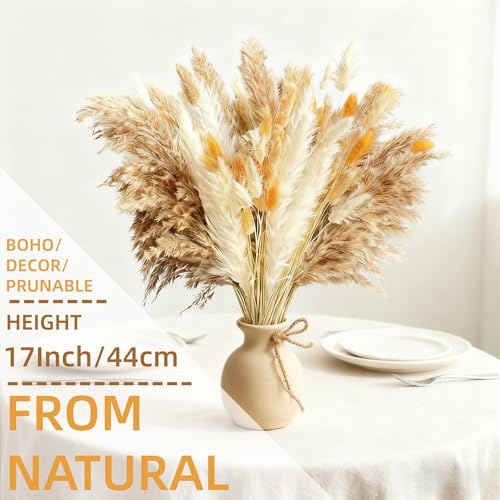 Ramo de Pasto Pampas Natural Seco Boho 17 pulgadas miniatura 2