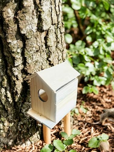 Image of Vayu Art & Crafts Pinewood Bird House || Sparrow Homes, for Balcony & Garden Hanging,Sparrow Nest /Chidiya Ka Ghosla || Made with Water Resistant Pine Wood || Size -10x15x17cm, 1 Pcs