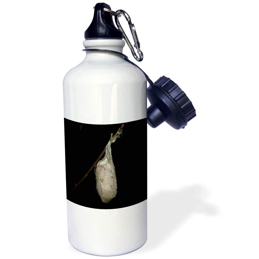 3dRose Cocoon Sports Water Bottle 21 oz White