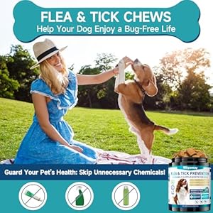 Flea and Tick Prevention for Dogs Chewables 200 Soft Treats Natural Dog Flea and Tick Treatment Oral Flea Pills for Dogs Supplement Flea and Tick Chews for Dogs Puppies All Breeds Sizes