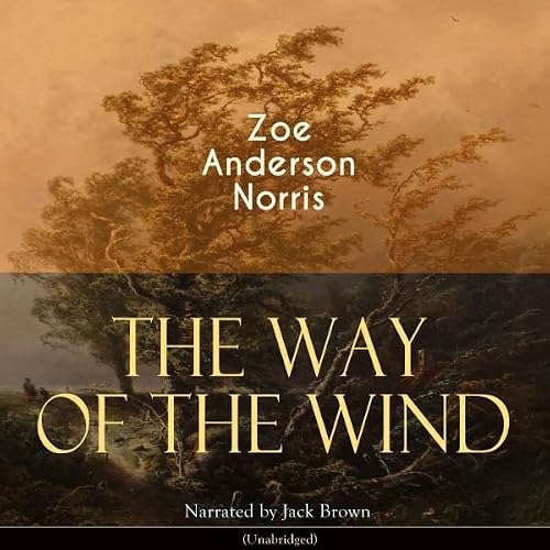 The Way of the Wind Audiobook By Zoe Anderson Norris cover art