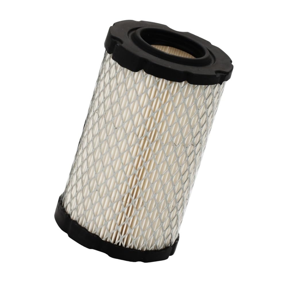 Filtre pour 796031 et GY21435 pour un entretien facile du jardin de printemps