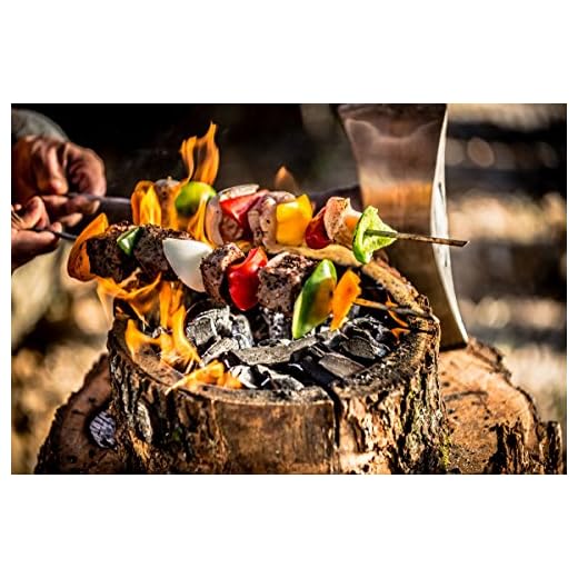 ECO Grill Outdoor BBQ Cooking Log, Large