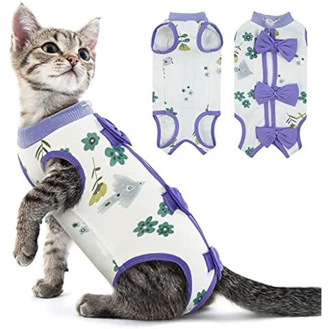 PUMYPOREITY Body Gatos Postoperatorio Cover