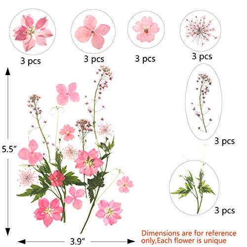 54 Pieces Real Dried Pressed Flowers,Multicolor Pure Dry Flowers Leaves Patels for DIY Resin Jewelry Nail Crafts Making Art Floral Decors