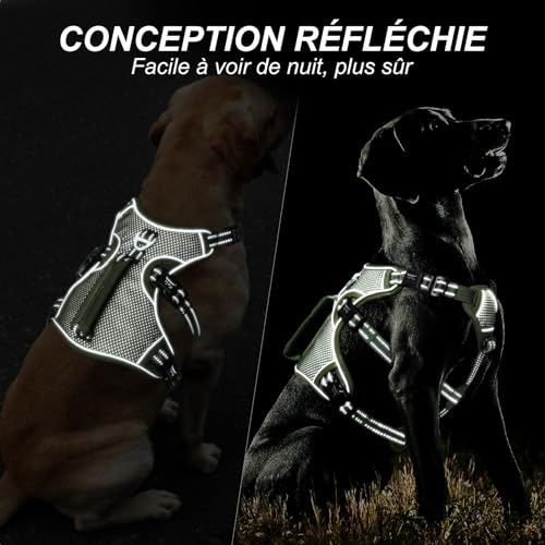 HEELE Hundegeschirr, Ausbruchsicher, Schnalle im Halsbereich, Reflektierend, Brustgeschirr mit Robuster Griff, Panikgeschirr Hund, Hundegeschirr Stabilen Eindruck, Passt wie Angegossen, Grün, S