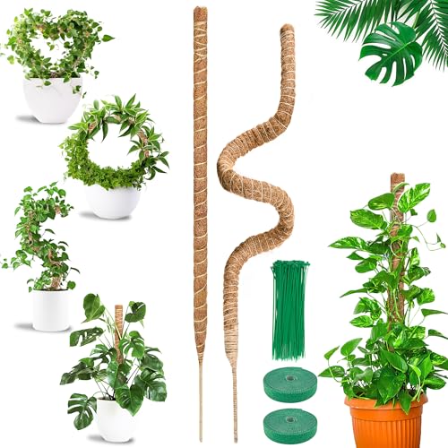 COZCLAM 2Pcs 63'' Moss Pole for Monstera Bendable Cheese Plant Support pole