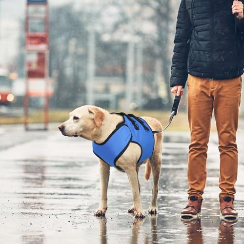 Hundehebegeschirr, Hundetragegurt | Hundehebe-Stützgeschirr für Vorderbeine | Verstellbare Tragegurtstütze aus Oxford-Stoff, die Ihrem Welpen beim Stehen und Treppensteigen hilft
