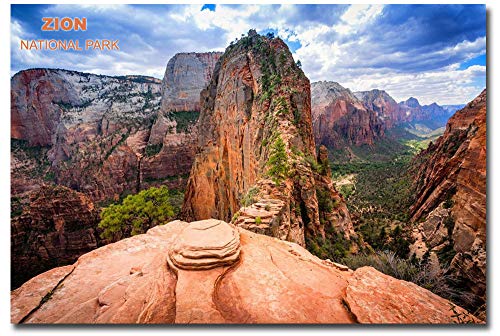 Imán refrigerador Zion National Park 2.5x3.5 in