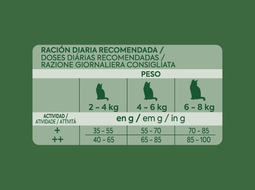 Ultima Dorosły łosoś, sucha karma dla kotów, opakowanie 8 x 750 g, łącznie 6 kg