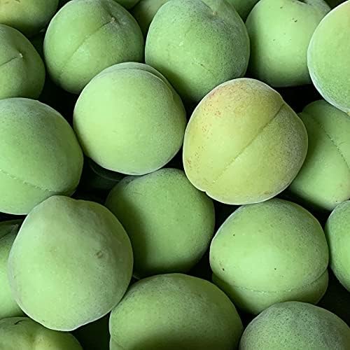 Amazon 青森県産 豊後梅 Sm混合 約1kg 豊後梅 果物 通販