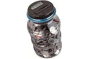 Winnsty Digital Coin Counter Piggy Bank with LCD Display