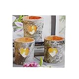 Northlight LED Lighted Flickering Rustic Woodland Birch Candles Canvas Art 11.75' x 11.75' Wall...