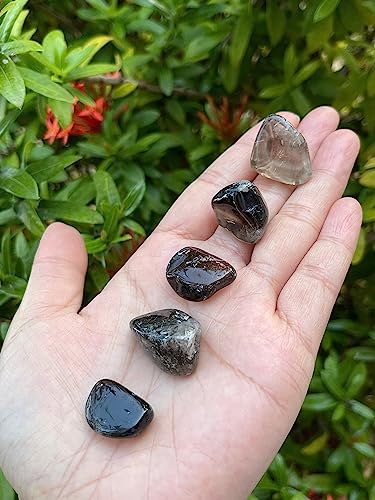 Image of GAF TREASURES 1 /2 LB Smoky Quartz Tumbled Stones, Polished Smoky Quartz Gemstone, Smoky Quartz Healing Crystals (Smoky Quartz)