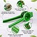 Zulay Metal Lime Squeezer – Heavy-Duty Citrus Juicer for Maximum Juice Extraction – Easy Manual Press for Limes & Lemons – Durable & Ergonomic Hand Juicer - Green
