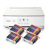 Druckdienste für Cloud- und Mobilgeräte: PIXMA Cloud Link, Apple Air Print, Google Cloud Print