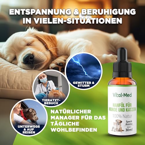 Vital-Med - Extra Starkes und hochdosiertes Hanföl für Hunde & Katzen - 30ML (750 Tropfen) - Premium Vital Hanfsamenöl - 100% Natur - Hanftropfen mit Omega 3-6-9 (Bacon)