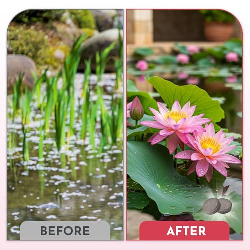 image for Nexalo rithu Aquatic Plant Fertilizer for Water Lily and Lotus,Water L