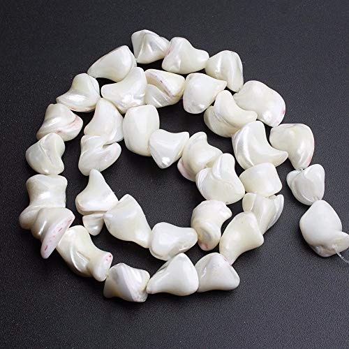 Image of HAAMIIQII 8x12mm Natural Freeform White Mother of Pearl Shell Beads Loose Gemstone Beads for Jewelry Making Strand 15 Inch (31-33pcs)