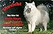 Produktbild +++ SAMOJEDE Samoyede Schlittenhund - Metall WARNSCHILD Schild Hundeschild Sign - SMJ 02 T1