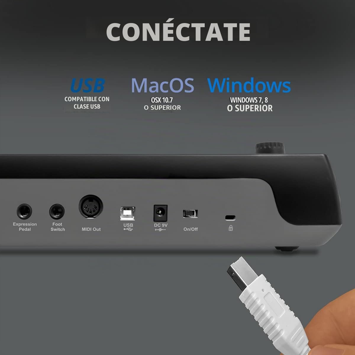 Nektar Impact GXP49 Teclado controlador MIDI USB con integración Nektar DAW