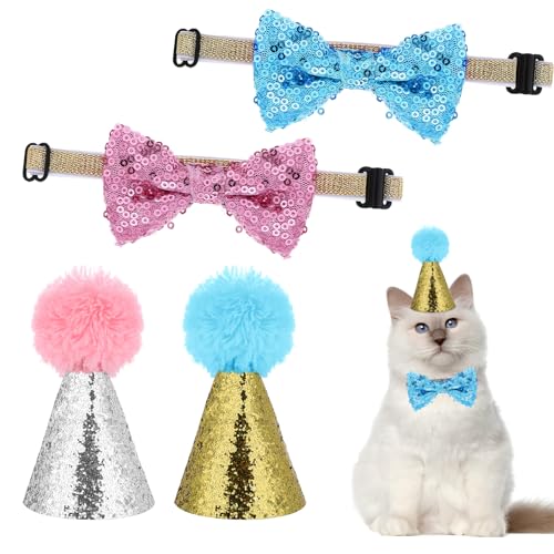 BOHUIZ Dog Birthday Hat and Bowtie Set