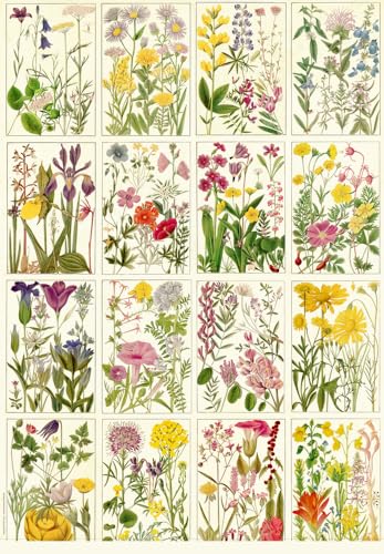 Geschenkpapier-Buch - Schöner schenken (Sammlung Augustina): Geschenkpapiere für jede Gelegenheit