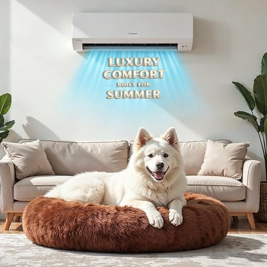 Image of ZEXSAZONE Round Donut Pet Bed for Cats and Puppies Dogs mat, Cozy and Plush, Raised Bedside Support, Both Sides Use Like 2 in 1, Washable, Sizes for Small, Medium Pets. Coffee, Size- 70x70x15 cm