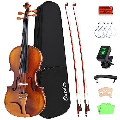 Best Violin Brands For Beginner And Intermediate Expert Review
