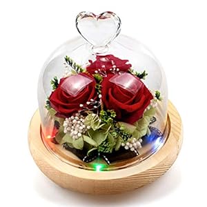 StillCool Eeuwige roos, handgemaakte frisse bloem roos met mooi creatief hartdesign een cadeau voor Valentijnsdag…