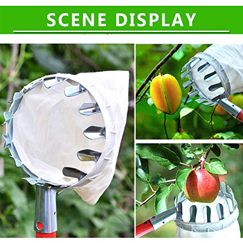 Cabezal recogedor de frutas con canasta de 16 cm miniatura 4